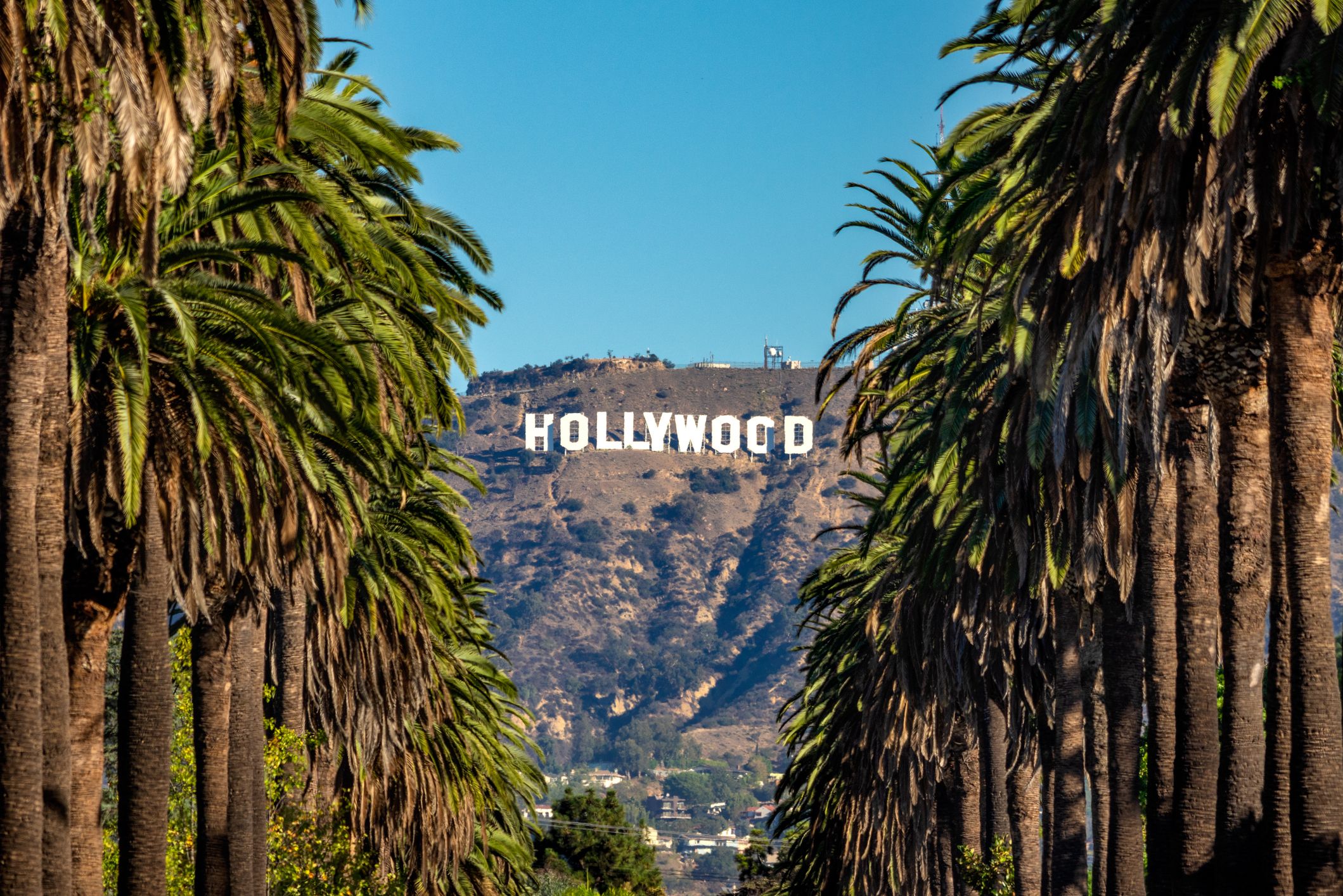 Trump’s Trade War With China Is Now Hurting Hollywood—and US Soft Power